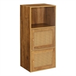 Xtra Storage Weave Two-Door Cabinet with Shelf in Caramel Wood Frame Finish