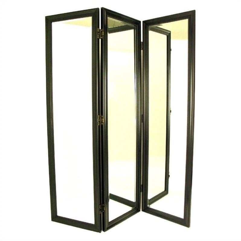 Wayborn Mirror with Frame Full Size Dressing Room Divider in Black