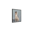 Moe's Home Collection Painting Canvas Multicolor