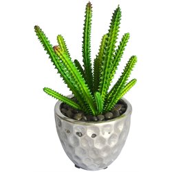 Decorative Accents