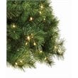 Jeco Isobel 7' Aspen Christmas Tree with Clear Lights