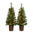 Adriel S/ 2 - 3.5Ft Pre-Lit Green Pot Tree