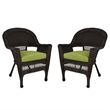 Jeco Wicker Chair in Espresso with Green Cushion (Set of 2)