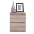 Tvilum Aurora Wood 2 Drawer Nightstand in Truffle