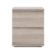 Tvilum Aurora Wood 2 Drawer Nightstand in Truffle