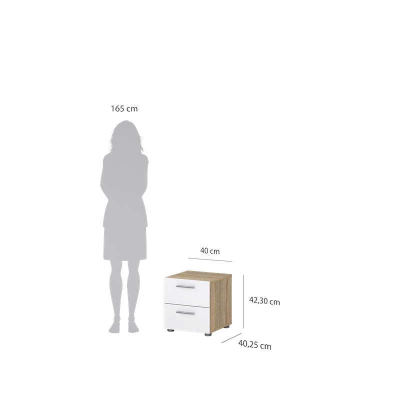 Tvilum Austin 2 Drawer Engineered Wood Nightstand in Oak Structure/White Gloss