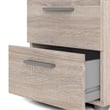 Tvilum Austin 2 Drawer Nightstand in Truffle