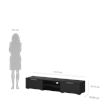 Tvilum Match 2 Drawer 2 Shelf TV Stand in Black Matte