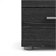 Tvilum Austin 2 Drawer Nightstand in Black Woodgrain