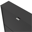 Tvilum Bright 2 Drawer Shoe Cabinet in Black Matte with 1 Layer