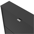 Tvilum Bright 2 Drawer Shoe Cabinet in Black Matte with 1 Layer