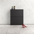 Tvilum Bright 2 Drawer Shoe Cabinet in Black Matte with 2 Layers