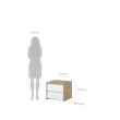 Tvilum Next 2-Drawer Bedroom Nightstand End Table in Jackson Hickory and White