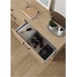 Tvilum  Sofia Jackson Hickory 6 Drawer Double Dresser