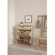 Tvilum Escape 2 Door Shoe Cabinet in Jackson Hickory