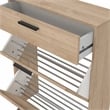 Tvilum Escape 2 Door Shoe Cabinet in Jackson Hickory