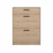 Tvilum Escape 2 Door Shoe Cabinet in Jackson Hickory