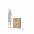 Tvilum Escape 2 Door Shoe Cabinet in Jackson Hickory