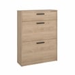 Tvilum Escape 2 Door Shoe Cabinet in Jackson Hickory