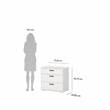 Tvilum Sofia  3-Piece Engineered Wood Bedroom Set in White