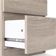 Tvilum Scottsdale 2 Drawer Wood Nightstand in Truffle