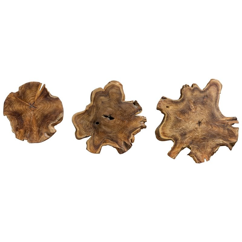 Uttermost Kalani 3-Piece Teak Wood and Iron Wall Sculpture Set in Natural