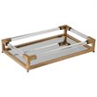Uttermost Balkan Metal Acrylic Mirrored Decorative Tray in Antique Gold