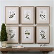 Uttermost Green Floral Botanical Study Pine Wood Prints - Multi-Color (Set of 6)