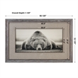 Uttermost Deep Sleep Traditional Wood and Glass Bear Print in Brown/White