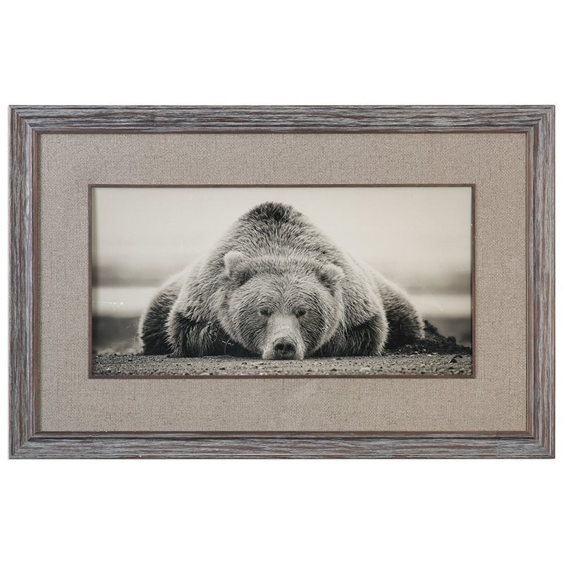 Uttermost Deep Sleep Traditional Wood and Glass Bear Print in Brown/White