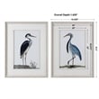 Uttermost Shore Birds Wood Glass Framed Prints in Black/Blue/White (Set of 2)