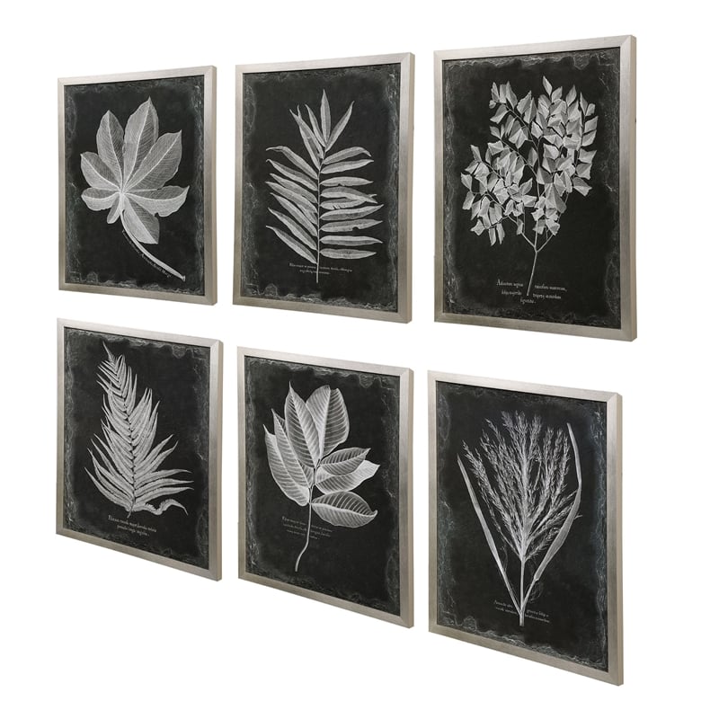 Uttermost Foliage Plastic Glass and Wood Framed Prints in Multi-Color (Set of 6)