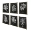 Uttermost Foliage Plastic Glass and Wood Framed Prints in Multi-Color (Set of 6)
