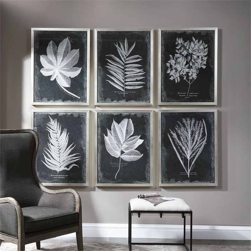 Uttermost Foliage Plastic Glass and Wood Framed Prints in Multi-Color (Set of 6)
