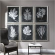 Uttermost Foliage Plastic Glass and Wood Framed Prints in Multi-Color (Set of 6)
