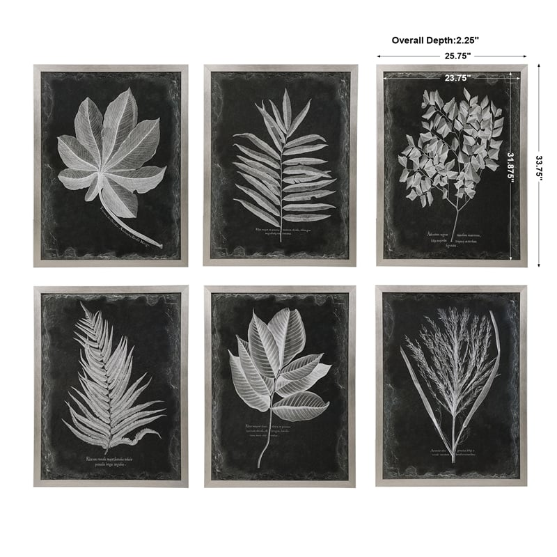 Uttermost Foliage Plastic Glass and Wood Framed Prints in Multi-Color (Set of 6)