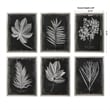 Uttermost Foliage Plastic Glass and Wood Framed Prints in Multi-Color (Set of 6)