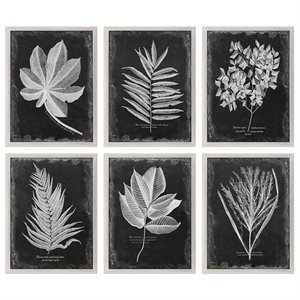 Uttermost Foliage Plastic Glass and Wood Framed Prints in Multi-Color (Set of 6)