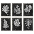 Uttermost Foliage Plastic Glass and Wood Framed Prints in Multi-Color (Set of 6)