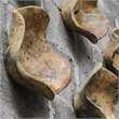 Uttermost Tamarine 3-Piece Coastal Wood Wall Sculpture Set in Natural and Gray