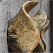 Uttermost Tamarine 3-Piece Coastal Wood Wall Sculpture Set in Natural and Gray