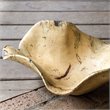 Uttermost Tamarine Coastal Wood Bowl in Natural and White Finish