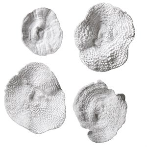 Uttermost 4 Piece Sea Coral Wall Sculpture Set in Antique White