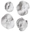 Uttermost Sea Coral 4-Piece Polyresin Wall Sculpture Set in Antique White