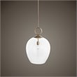 Uttermost Calix Coastal Steel and Glass Pendant Light in Aged Brass/Clear
