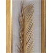 Uttermost Palma Coastal MDF Glass and Linen Shadow Box in Gold (Set of 3)