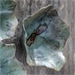 Uttermost Teo Coastal Tamarind Wood Wall Art in Soft Blue Green (Set of 3)