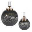 Uttermost Cessair Iron Glass and Crystal Art Bottles in Blue Gray (Set of 2)