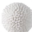 Uttermost Cascara Resin Crystal and Steel Sea Shell Sculpture in White