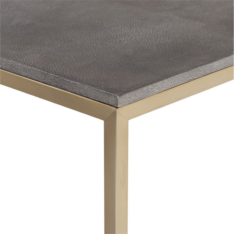Uttermost Trebon Modern Faux Shagreen and MDF Coffee Table in Brushed Brass
